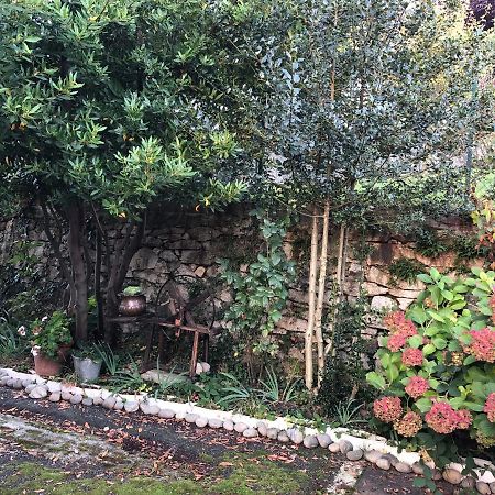 La Casa Verde B&B Trivero Экстерьер фото