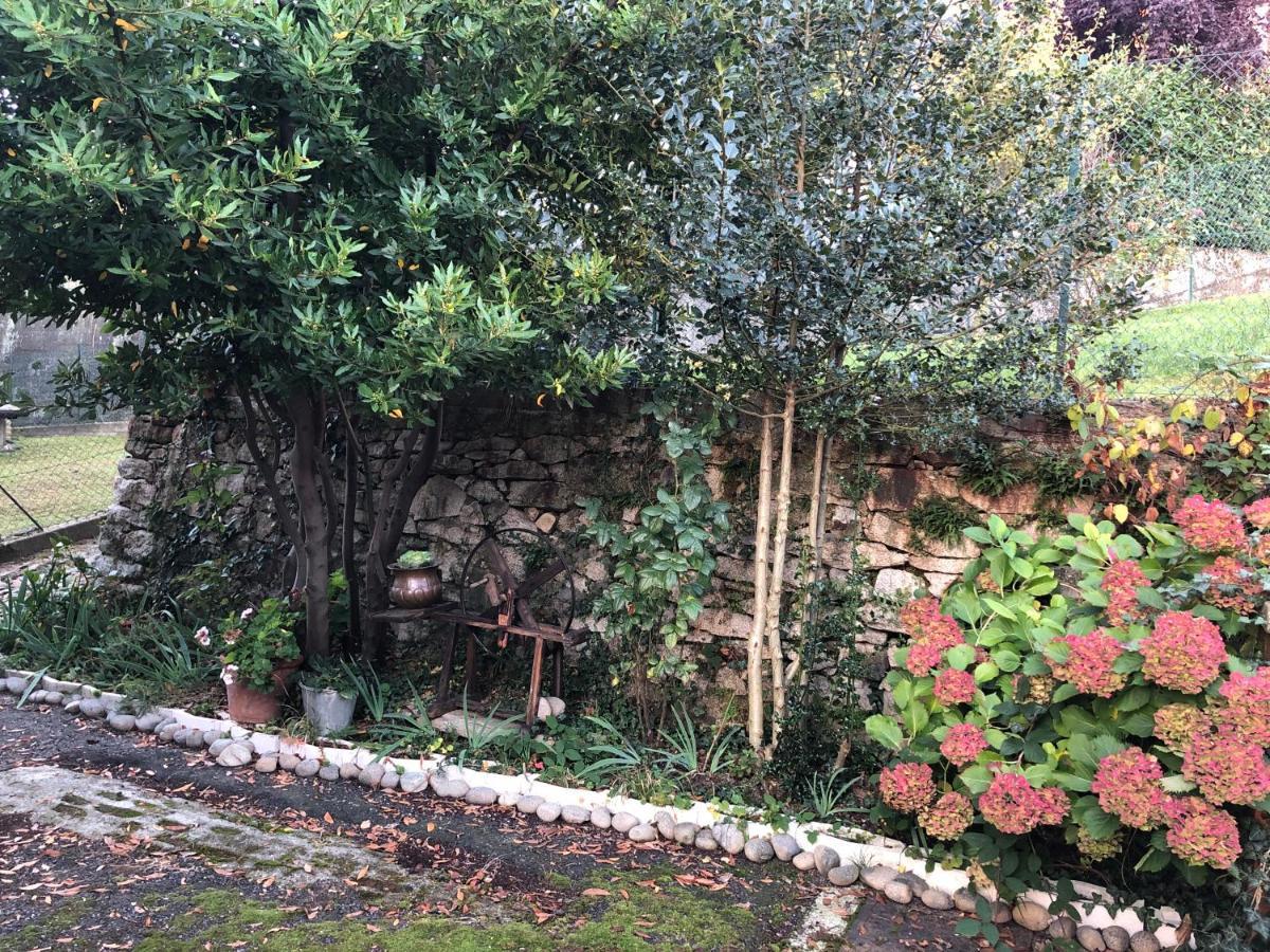 La Casa Verde B&B Trivero Экстерьер фото